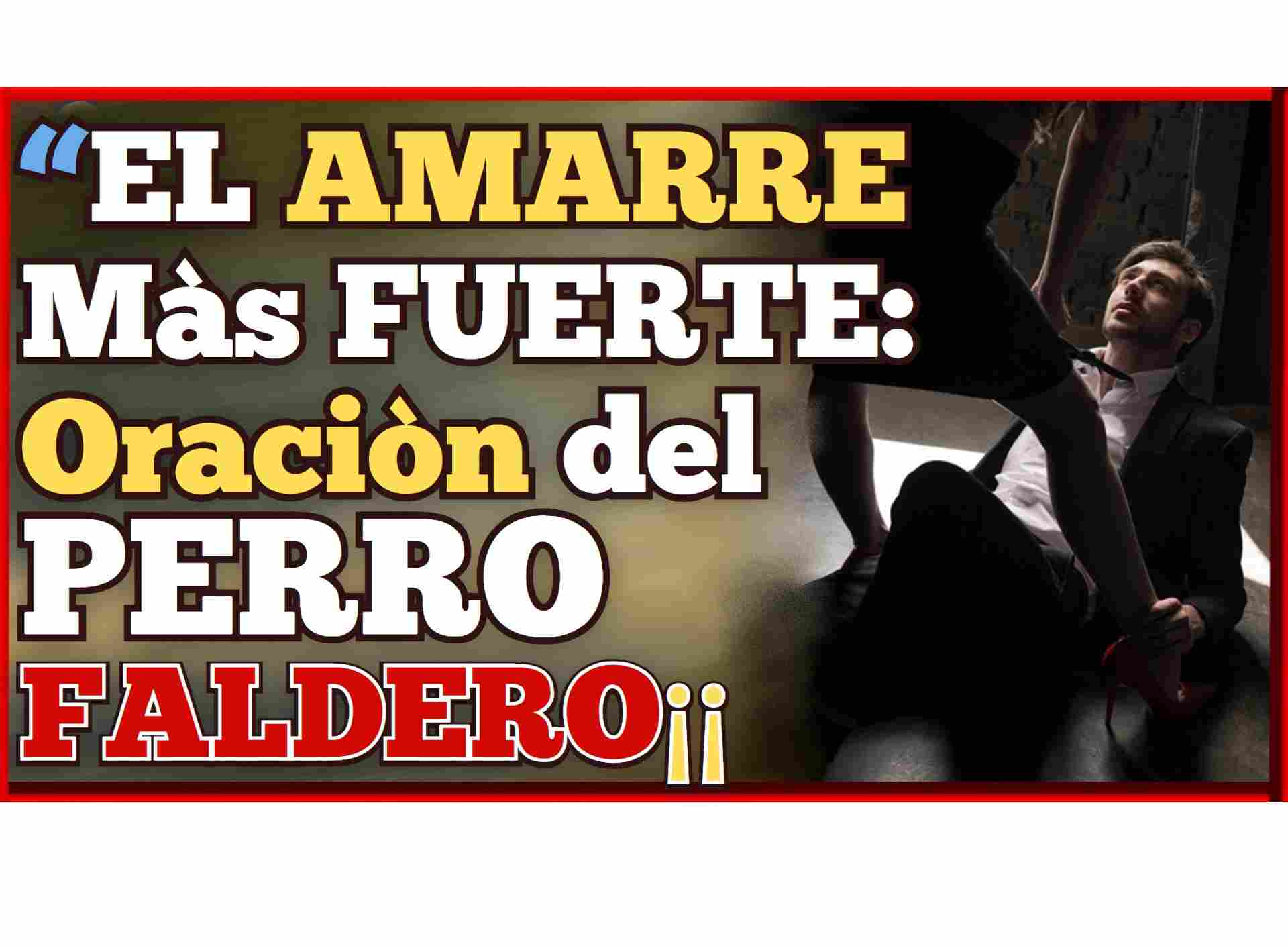 Oración Al ánima Sola Para Amarrar Y Dominar Oraciòn del Perrito Faldero para Amarrar y dominar