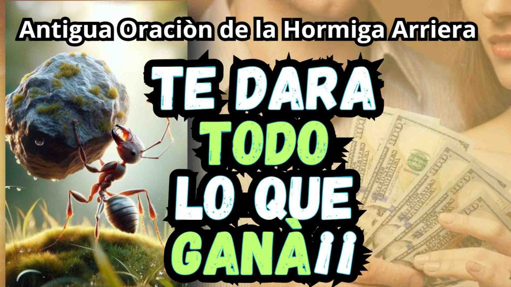 Hormiga Arriera la oracion que hara que te den todo tu dinero